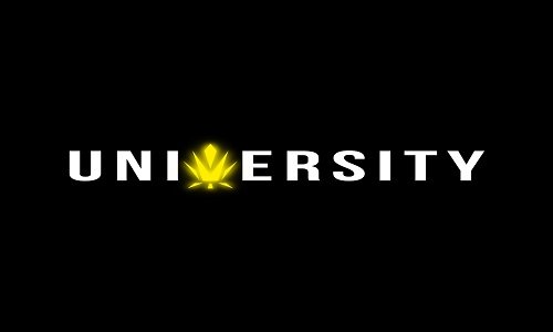 THC P Vape Pens & Cartridges – Bold Flavor, Strong Hits